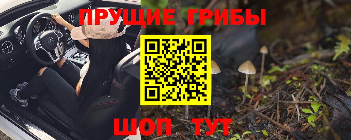 Аргун  Псилоцибиновые грибы Psilocybe  Вход с VPN 