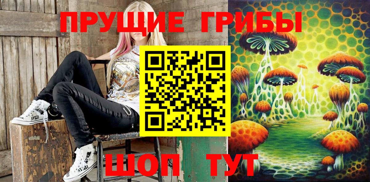 Псилоцибиновые грибы мухоморы Аргун